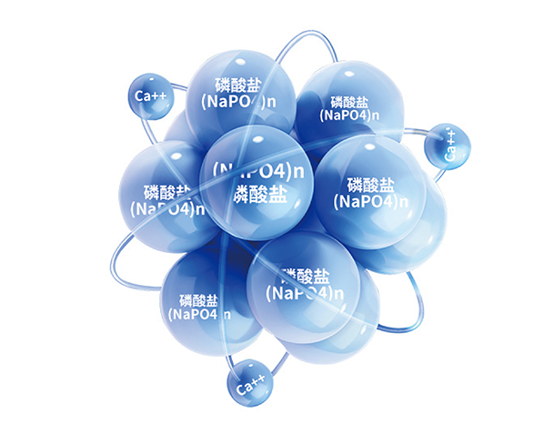 游艇会yth·(中国)最新官方网站